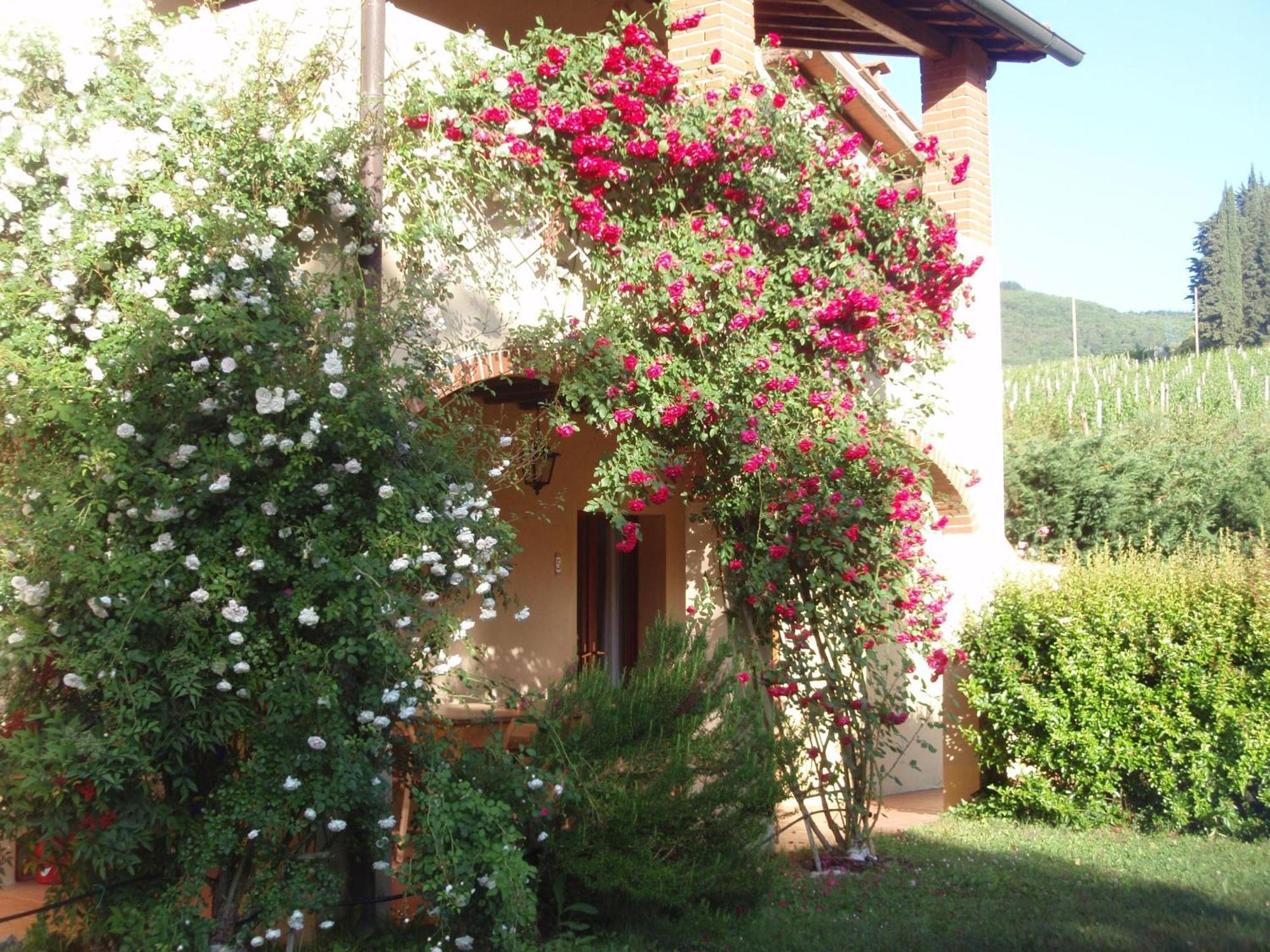 Villa Buonasera Agriturismo 그레베 인 키안티 외부 사진