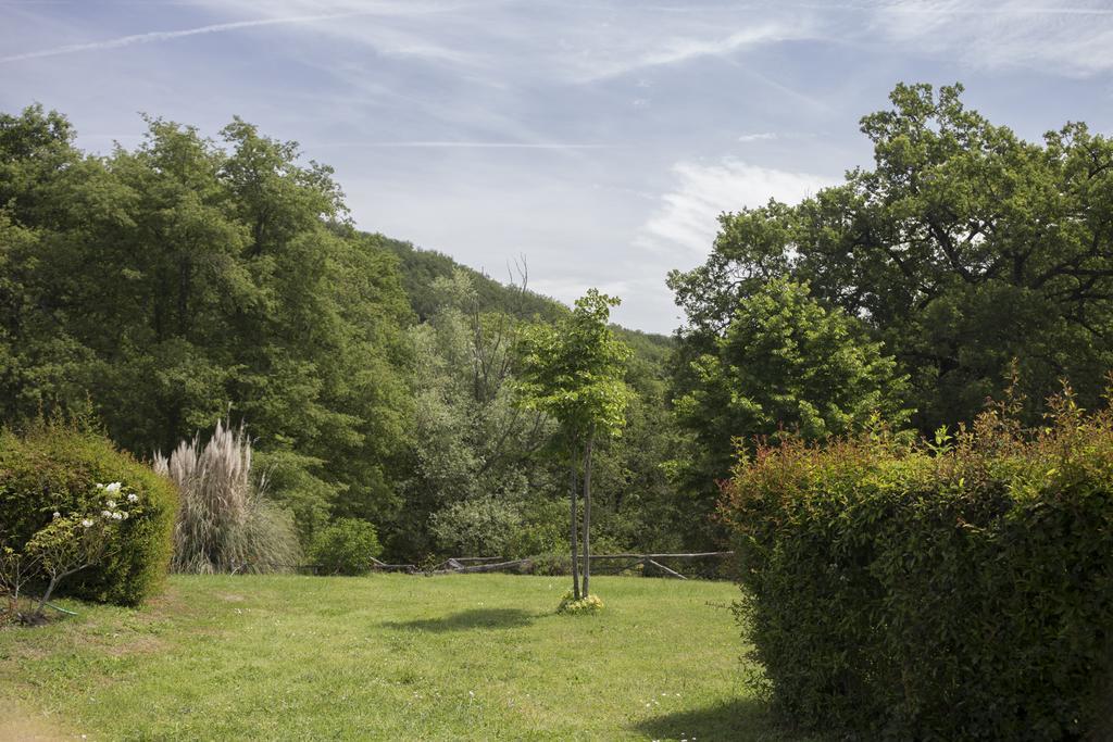 Villa Buonasera Agriturismo 그레베 인 키안티 외부 사진